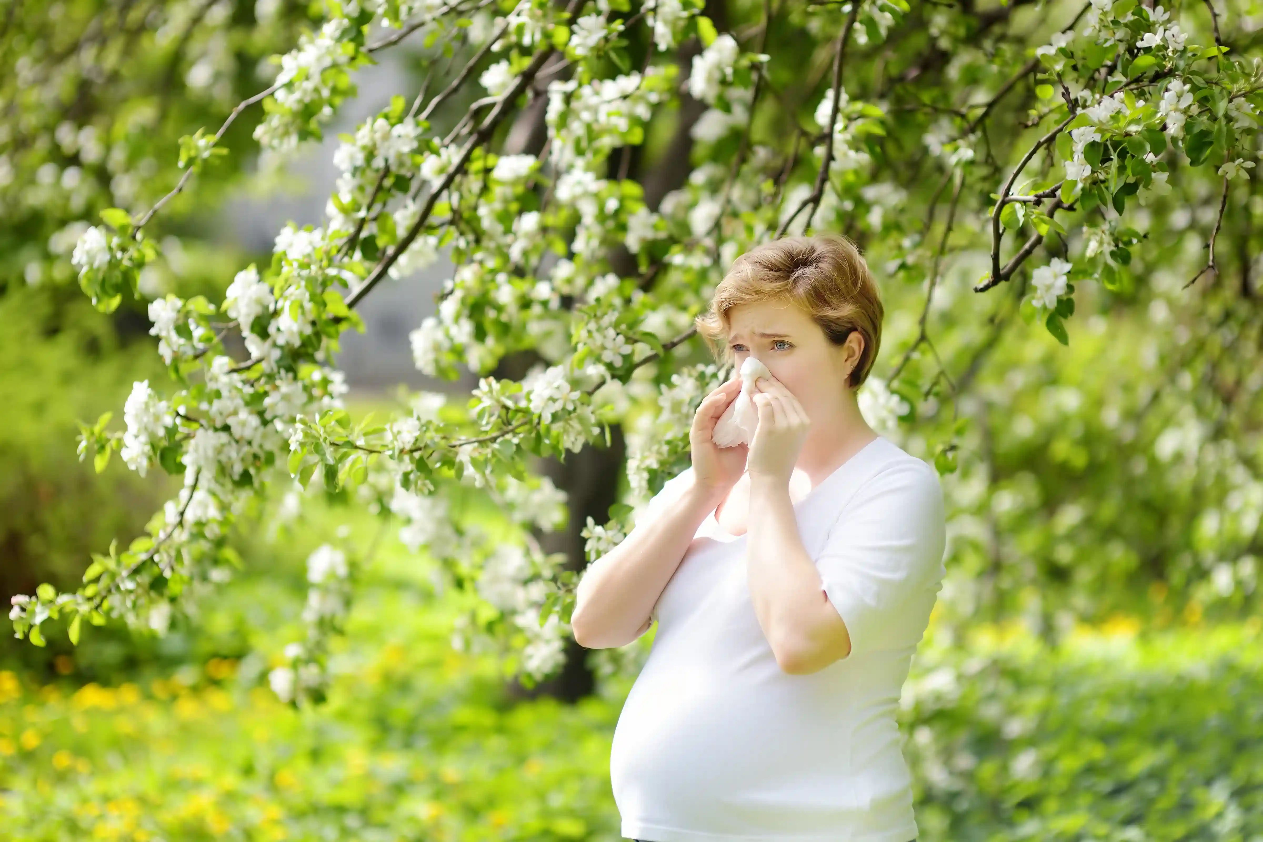 En gravid kvinne star ved et blomstrende tre og pusser nesen – hun kan være tett i nesen på grunn av pollenallergi eller svangerskapet 