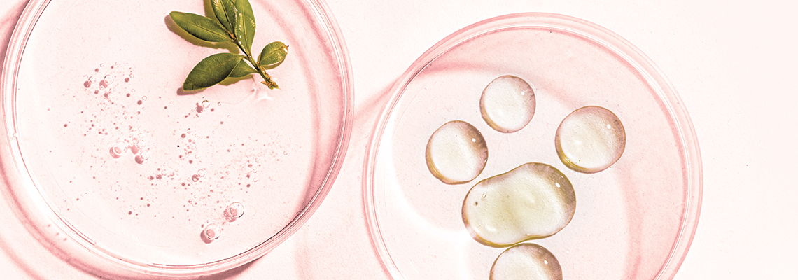 A refreshing pink drink with bubbles and a green leaf garnish.