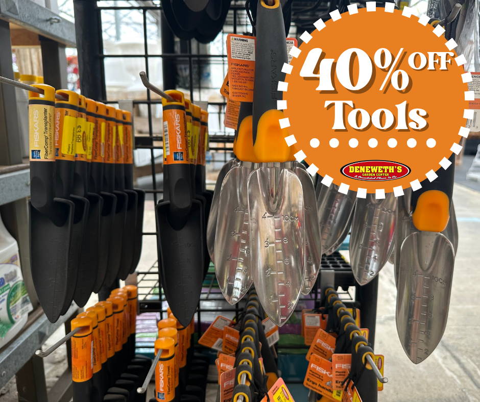 40% off Tools