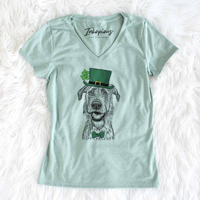 Adorable St. Patrick's dog shirts