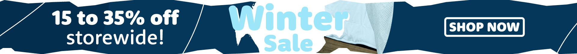 Winter Sale - thicker banner!