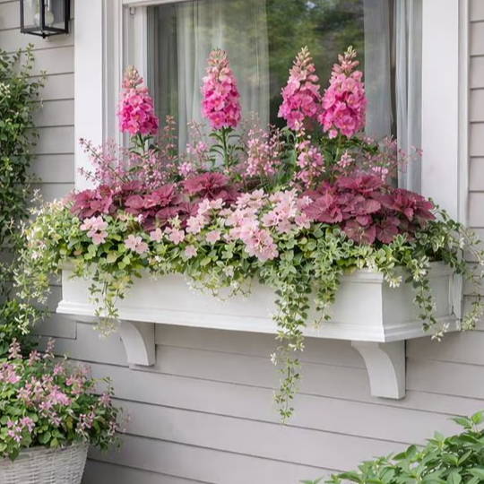 Laguna window box pink and green flowers mounted under a window