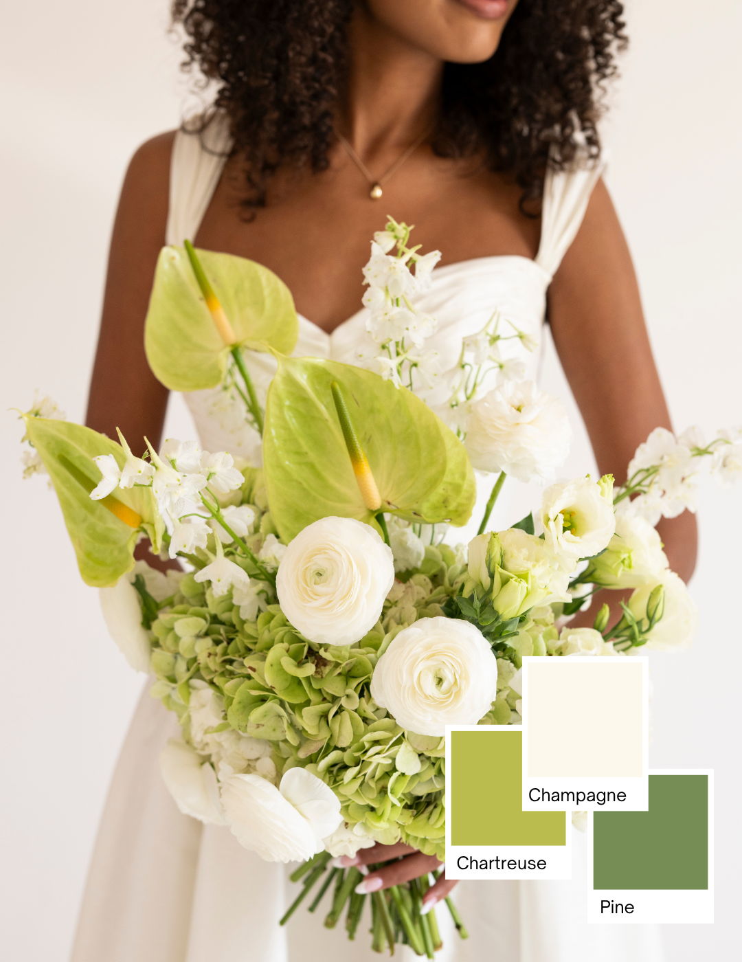 mondern hydrangea mini pantone