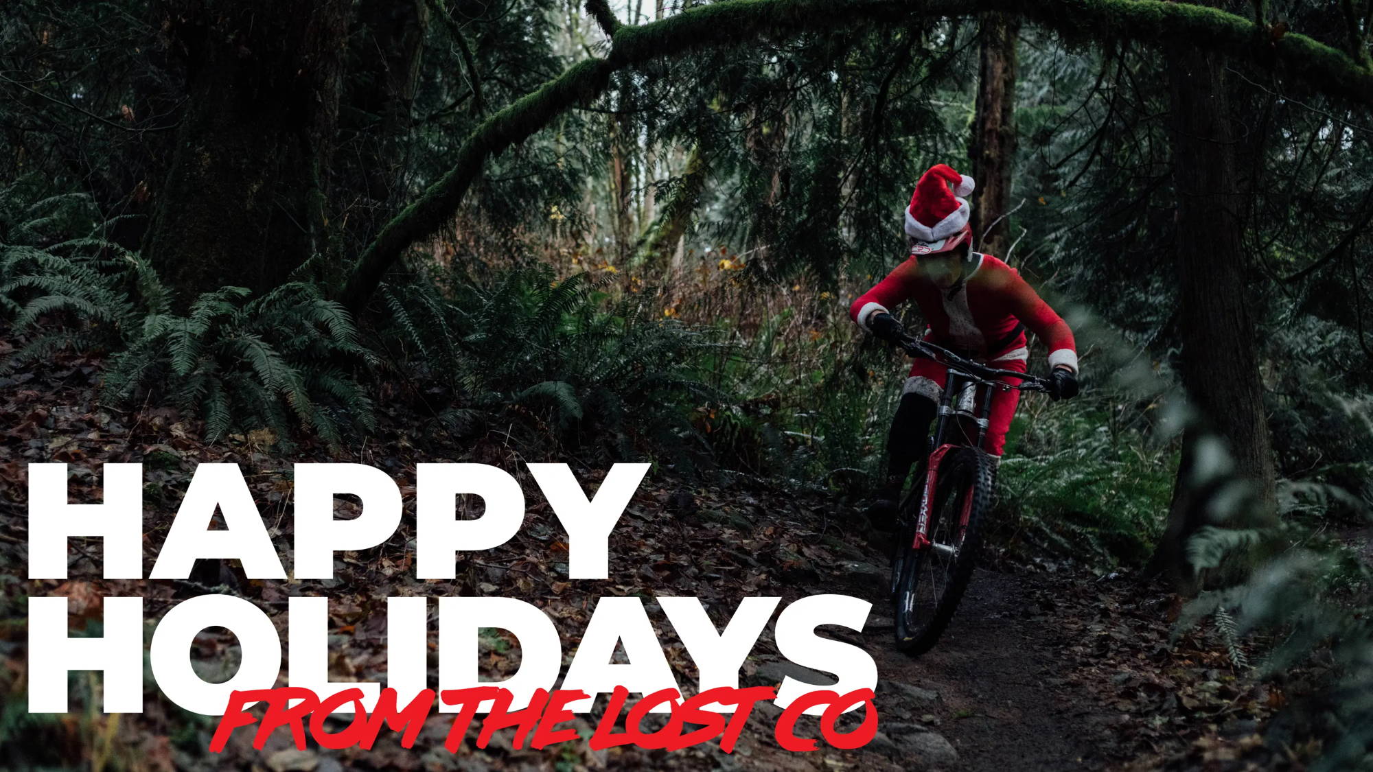 happy holidays from the lost co