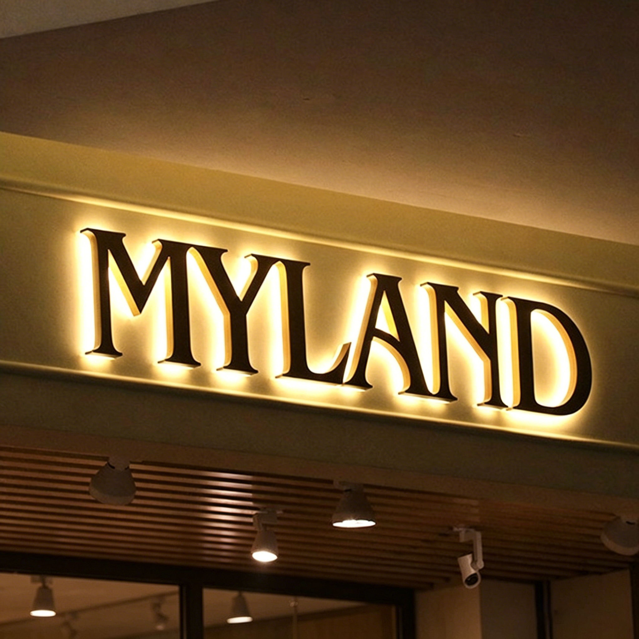 Stainless Steel Backlit Letter Sign