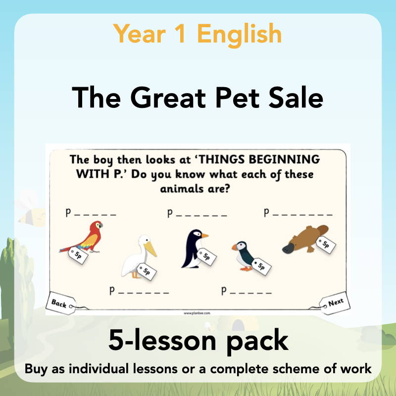 Year 1 Curriculum - The Great Pet Sale