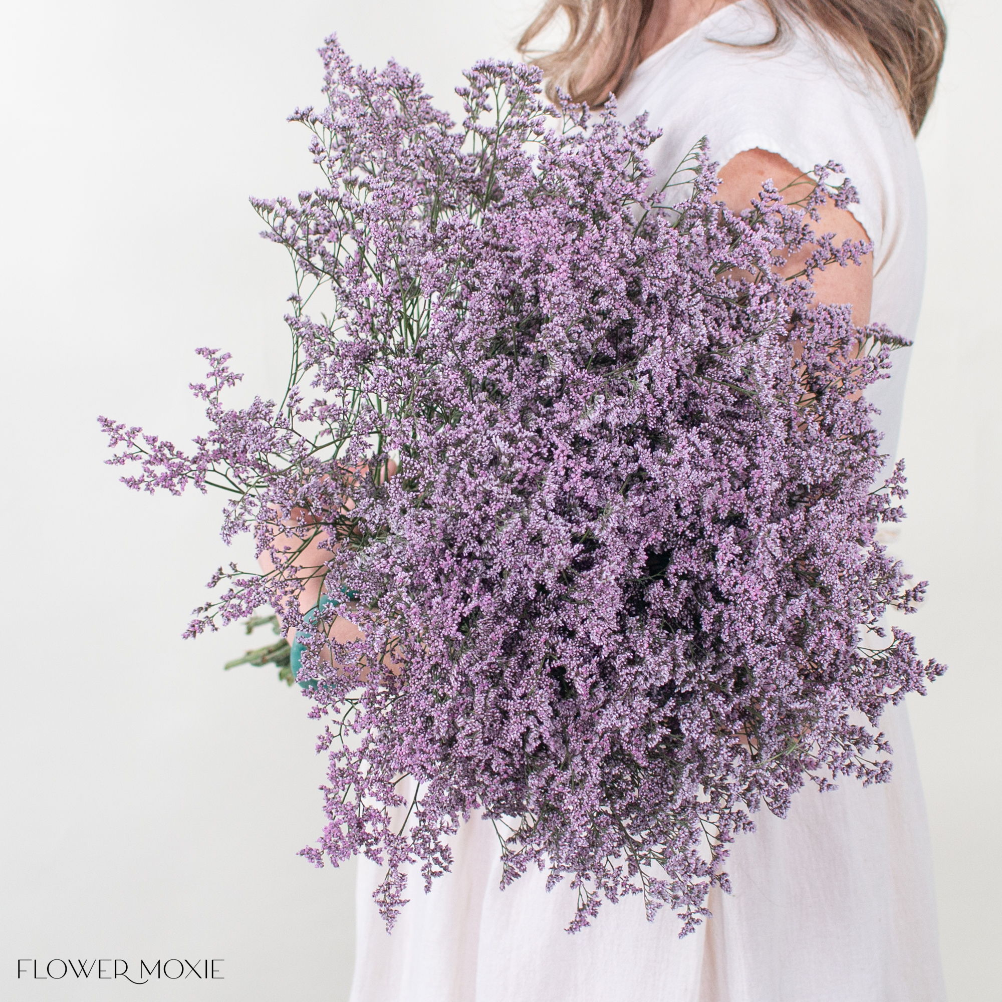 oshi pink limonium