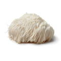 Hericium