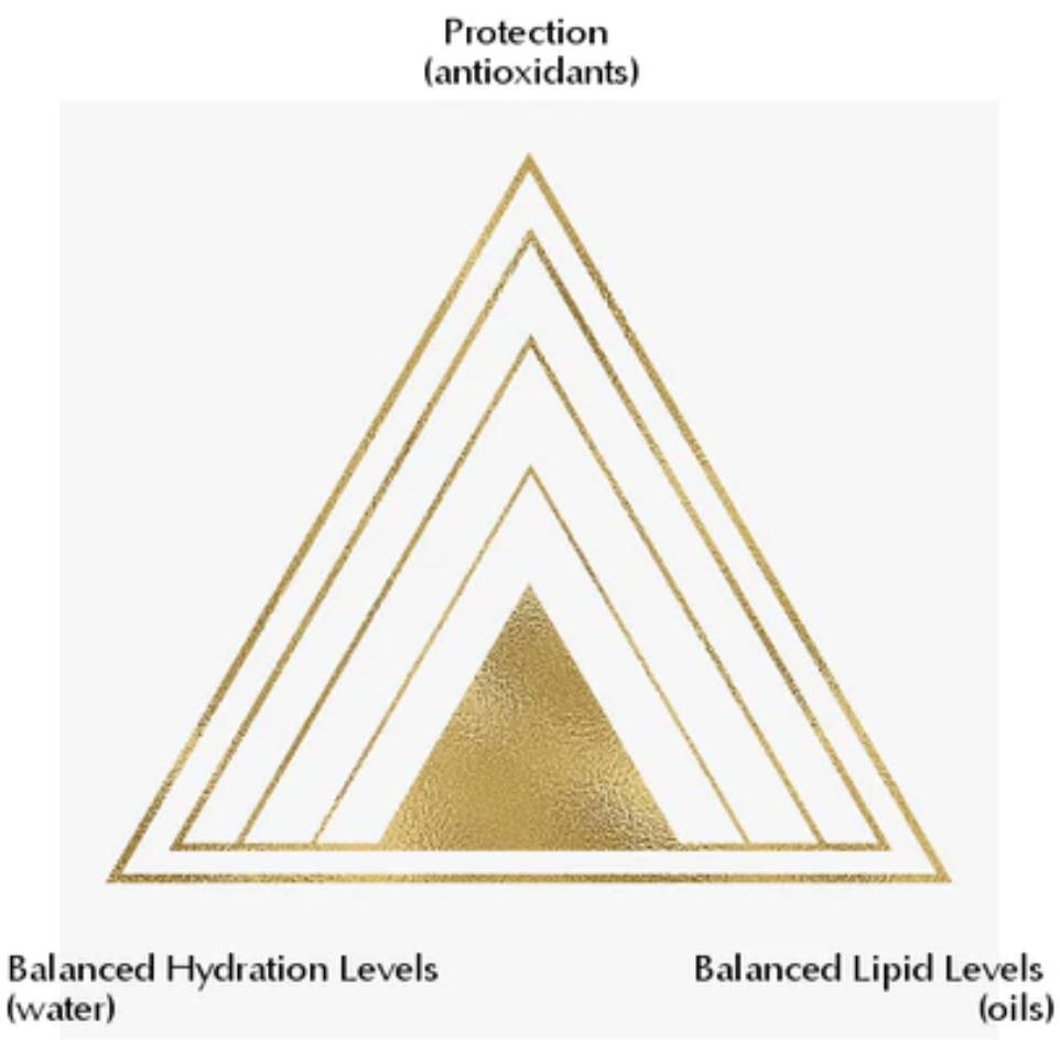 Graphical illustration of relationship between oils + water + antioxidants