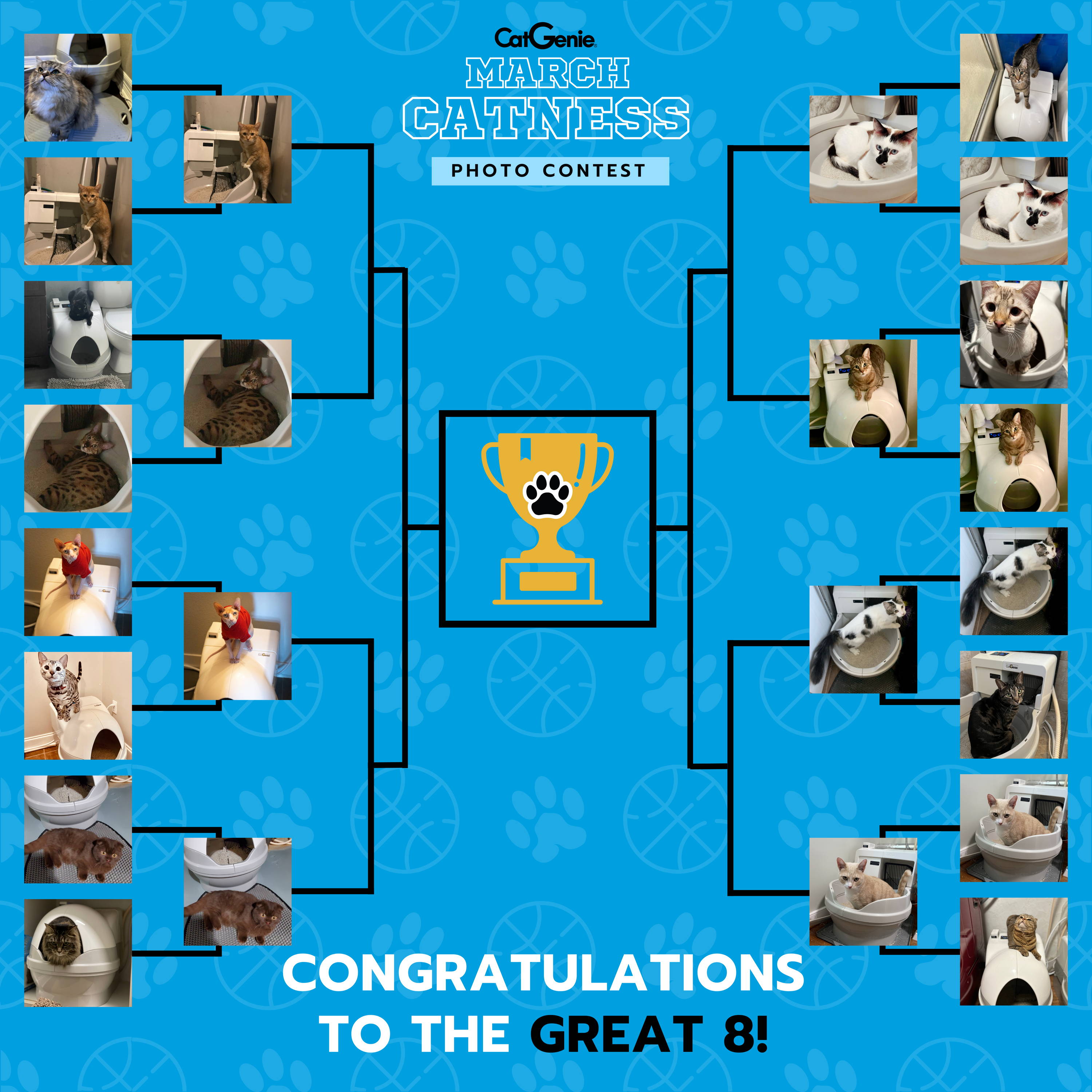 The official March Catness Photo Contest Bracket of Sweetest 16 entrants