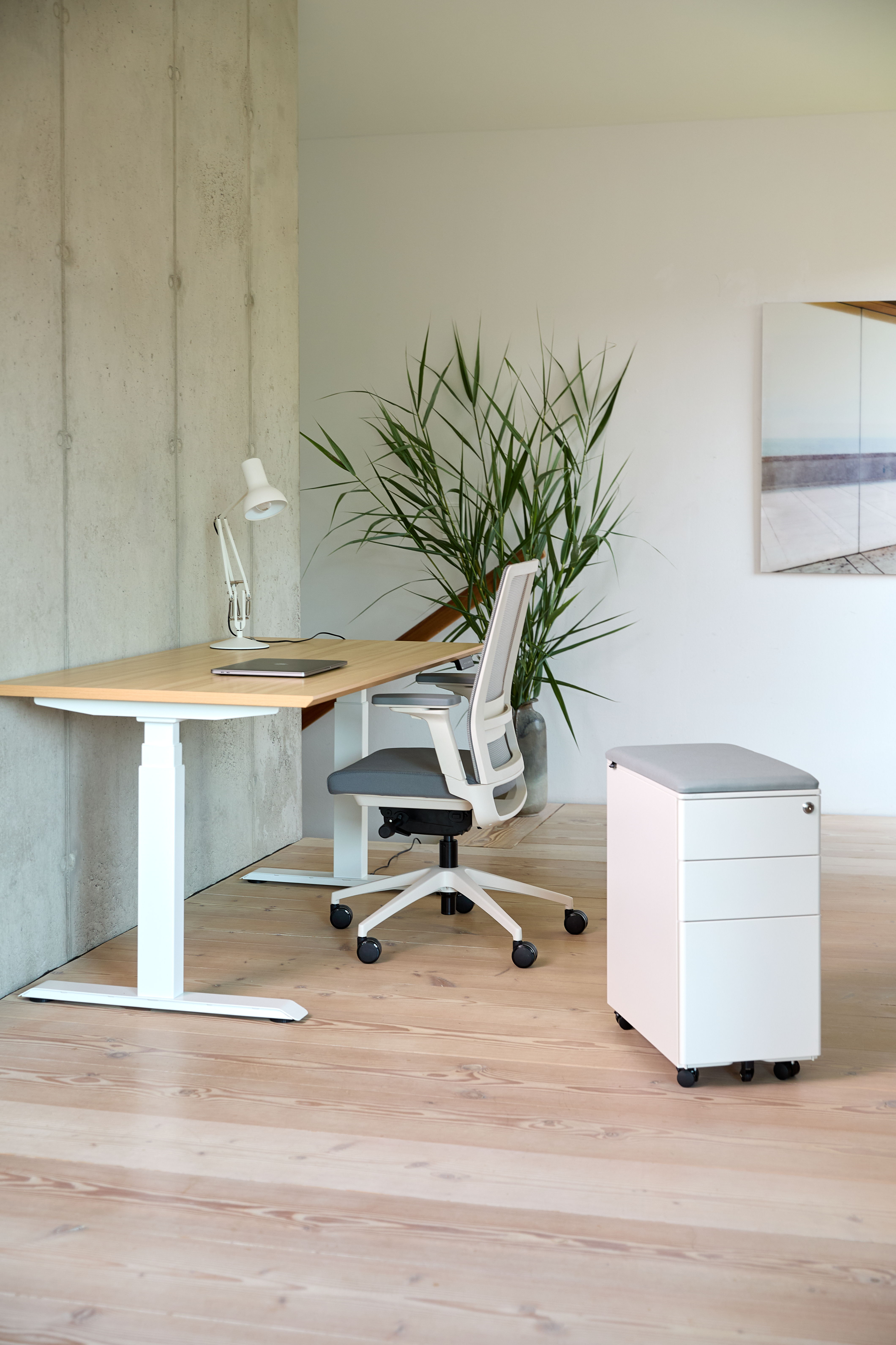 Moderner Arbeitsplatz mit weißem Bürostuhl, Schreibtisch, Rollcontainer und Pflanzen.