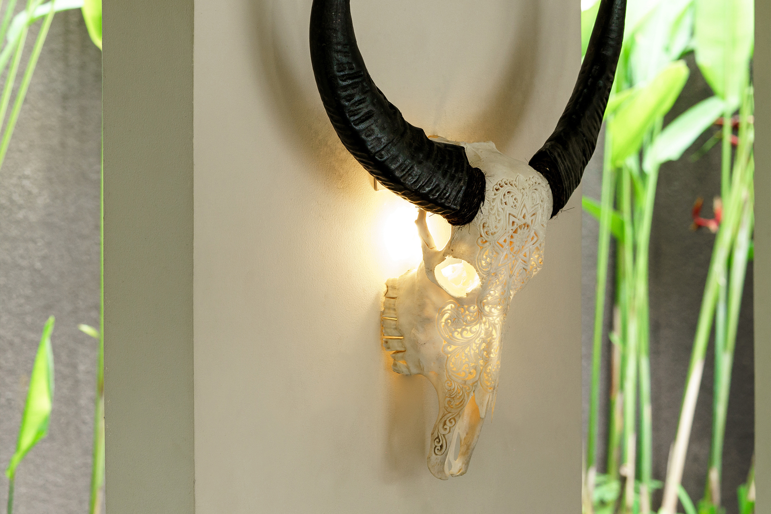 The Carved Buffalo Skull Lamp 'White Mandala' is hanging on a wall.