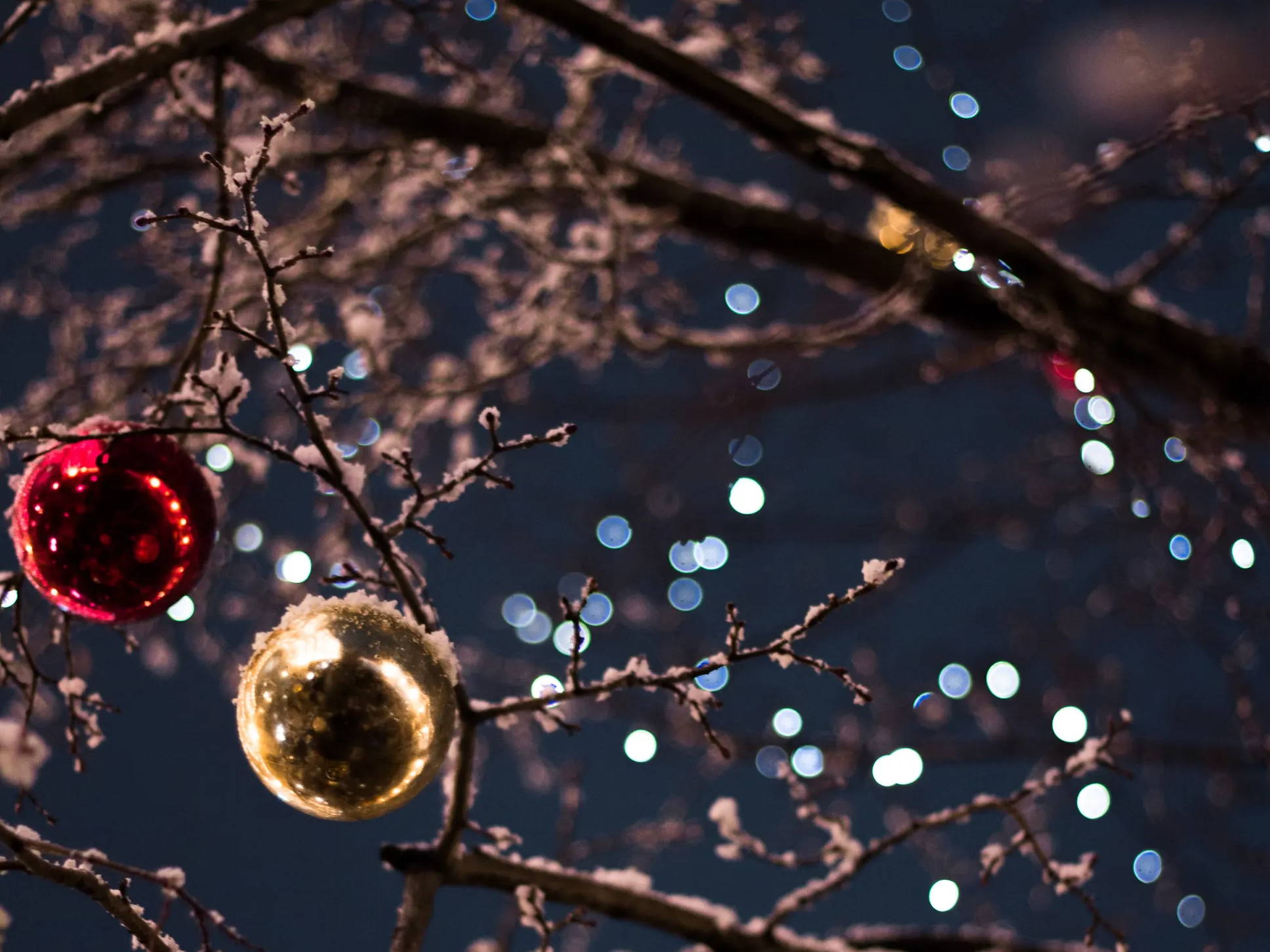Ornaments illuminated by Christmas lights in a snowy tree