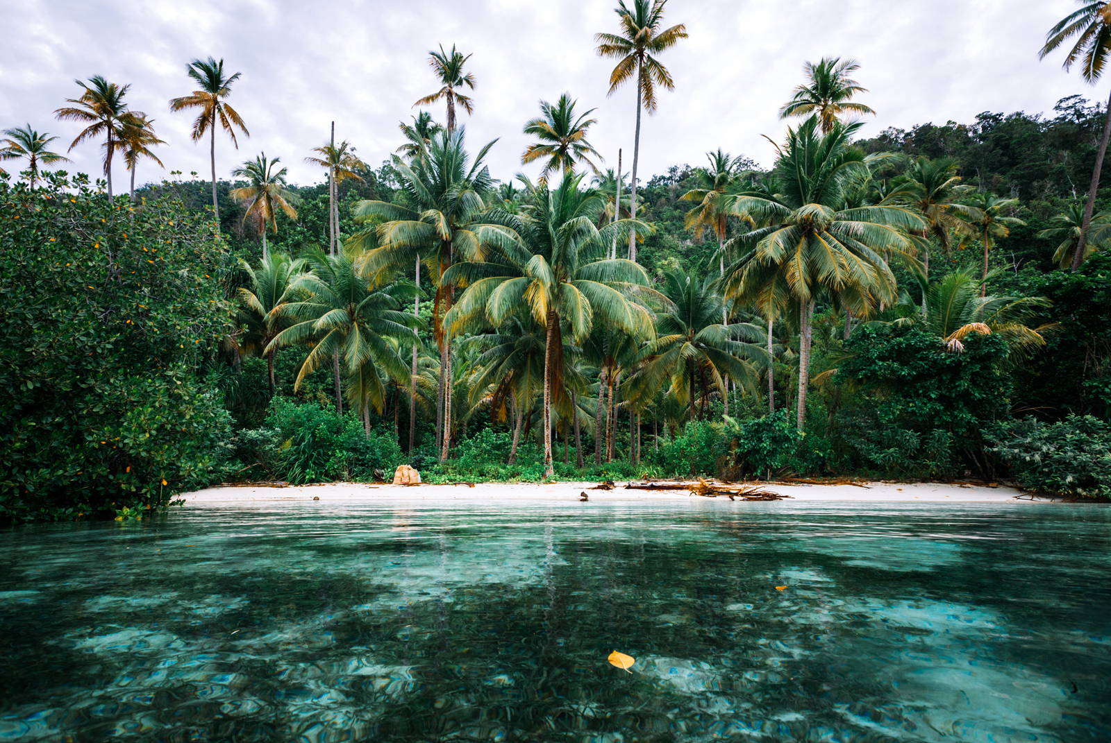 Tropical Island