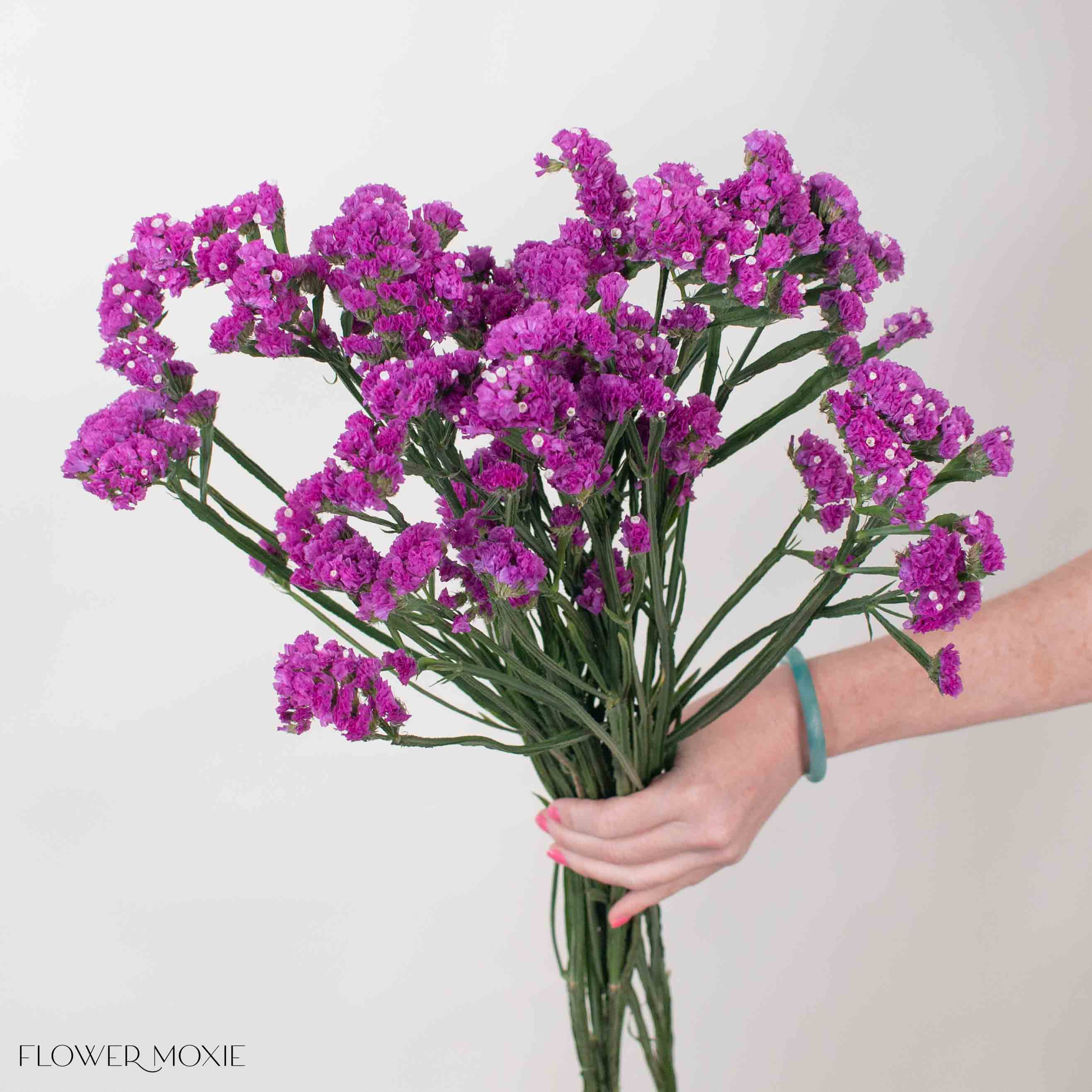 hot pink statice