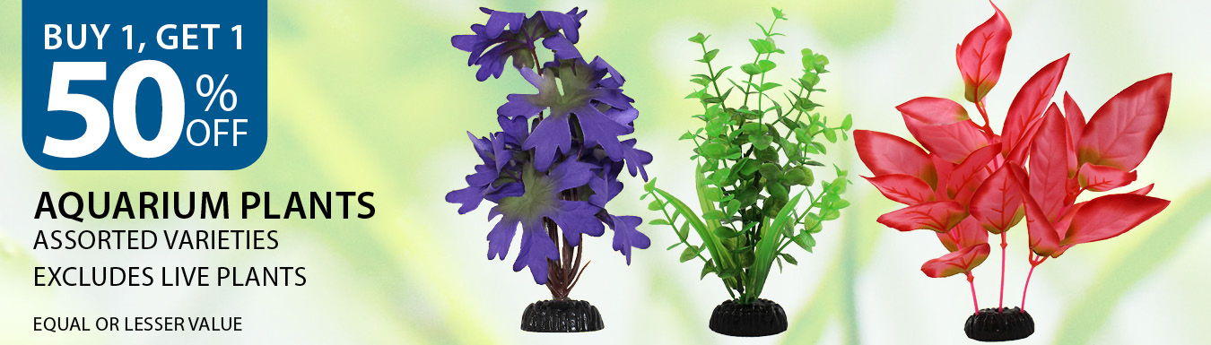 Buy 1, get 1 50% off Aquarium Plants. Equal or lesser value. Excludes live plants