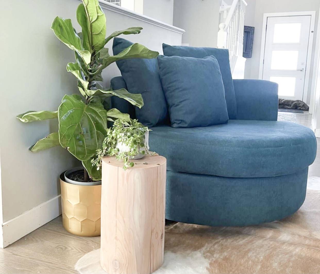 Calgary Nest Chair