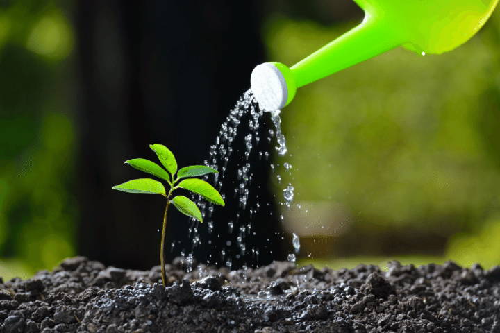 AgroThrive Organic Fertilizer | Easy to Use | Watering Can