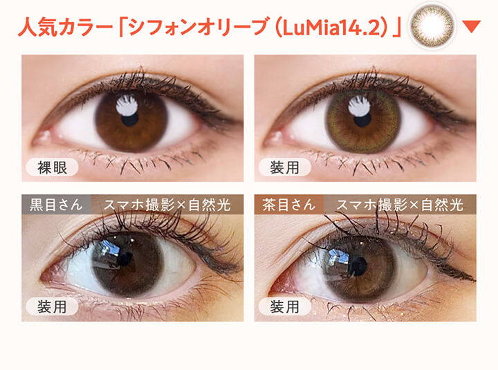 ルミアシリーズの人気カラー「シフォンオリーブ(LuMia14.2)」の装用比較画像 | 人気ブランド&年代別カラコン