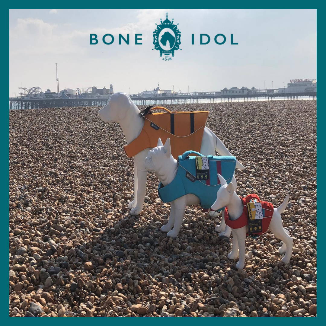 Bone Idol Beach Safety
