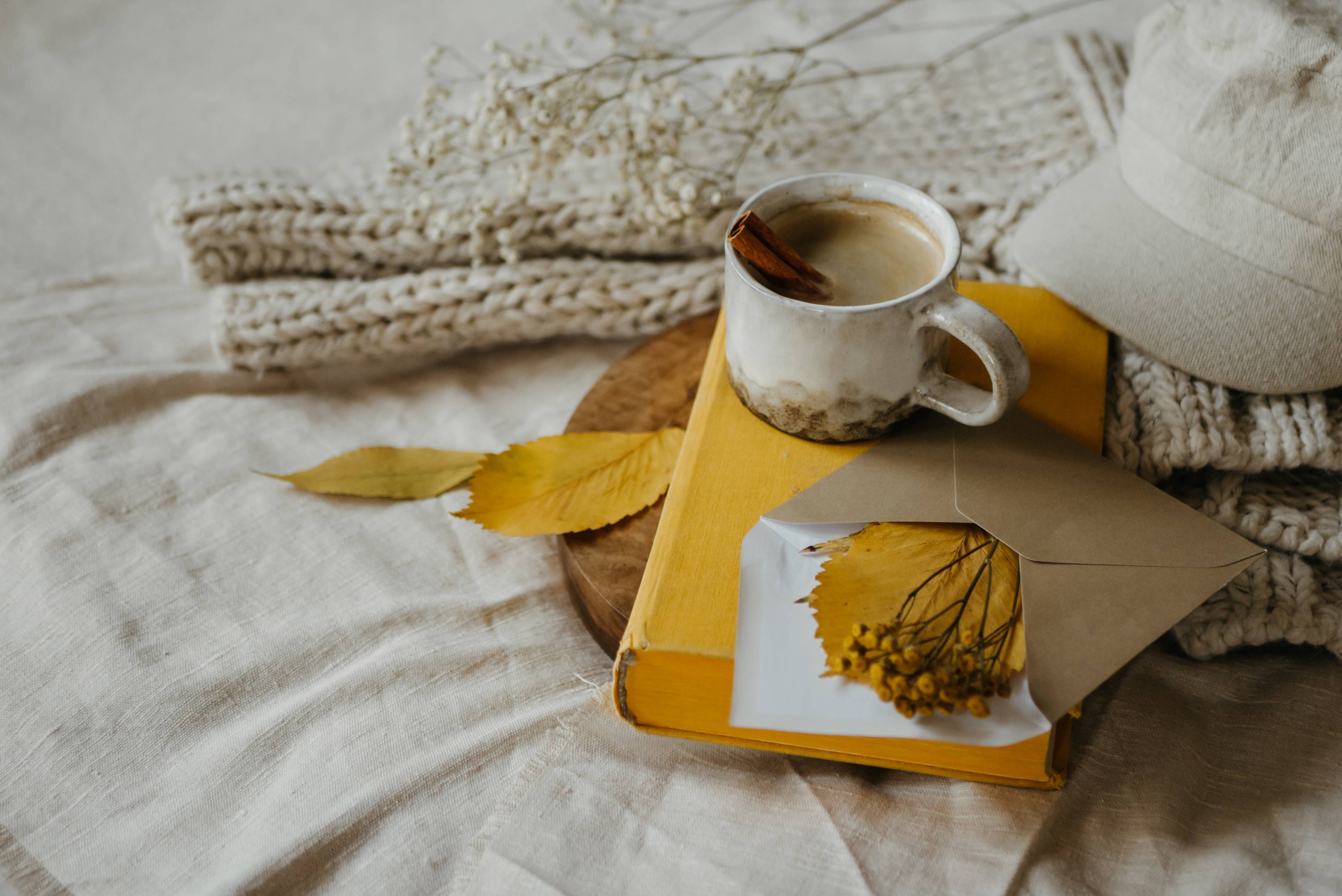 picnic, cozy autumn