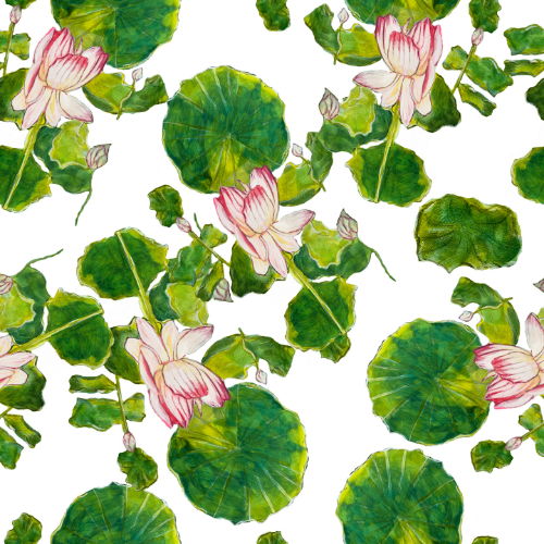 Pattern of water lilies and leaves on a white background.