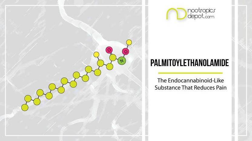 Palmitoylethanolamide And Its Pain Management Benefits