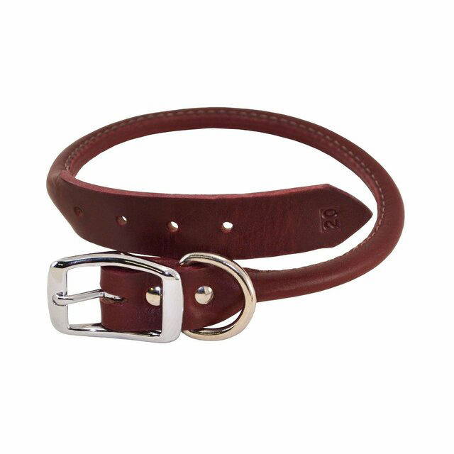 Rolled Leather Buckle Dog Collar
