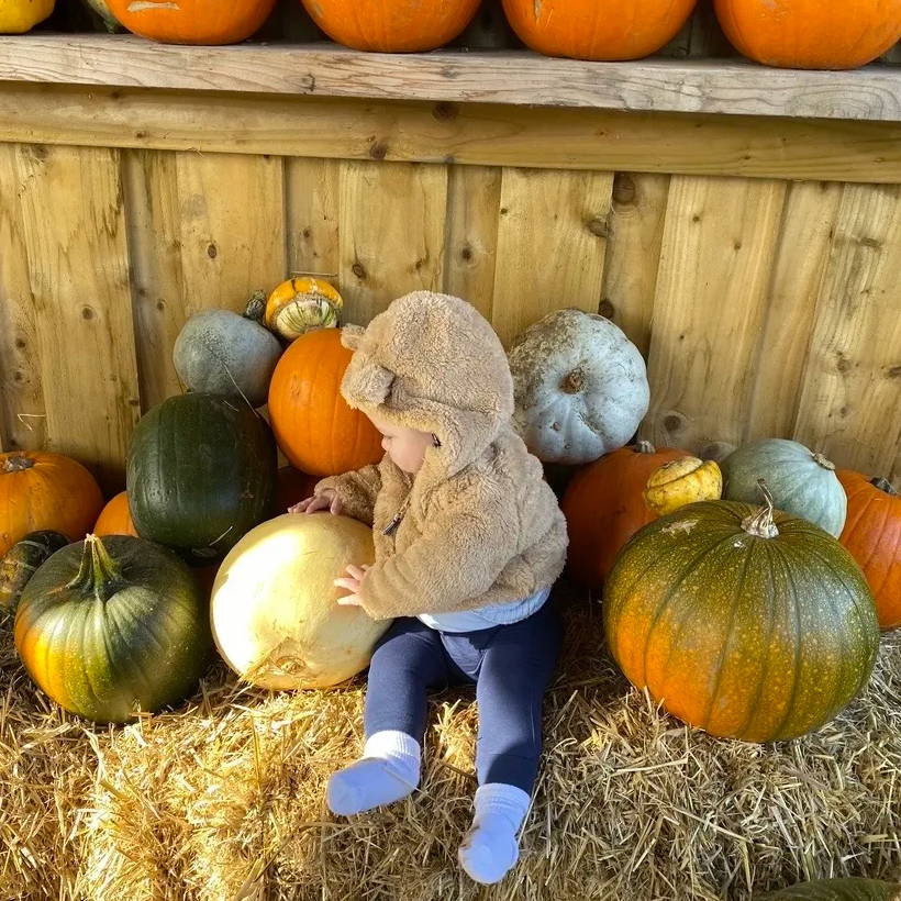 George at 6 months at Birchwood Farm sitting on a haybale.