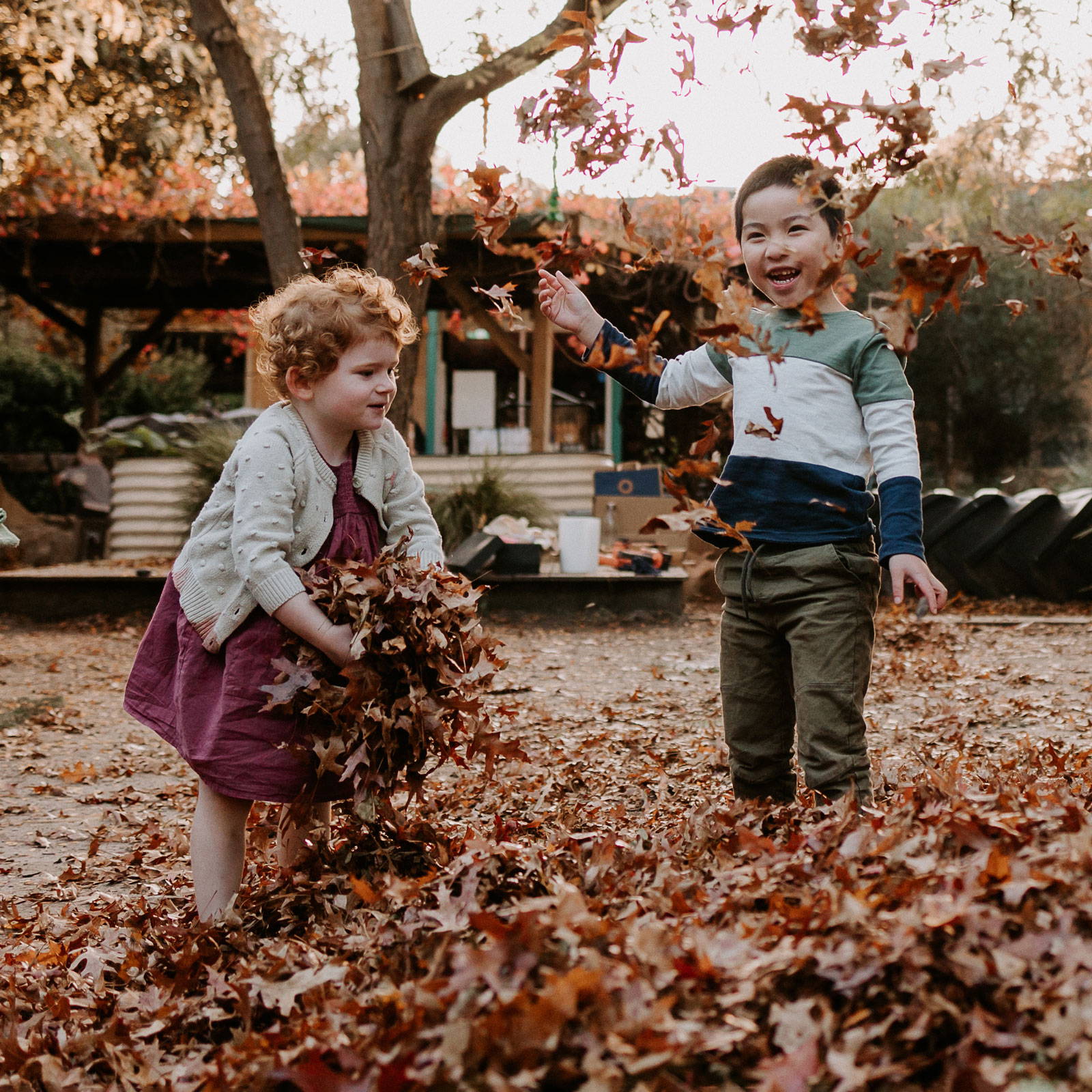 Children Delighting in Leaf Exploration During their Nature Walk