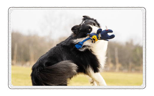 Gigwi 睡衣派對啾啾寵物玩具 企鵝 毛起來 寵你與毛孩多更多 毛起來maoup