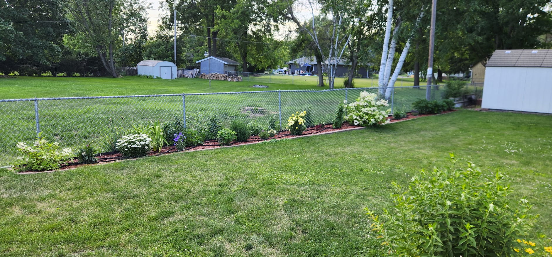 A landscaped garden with flowers and grass, alongside a white shed.