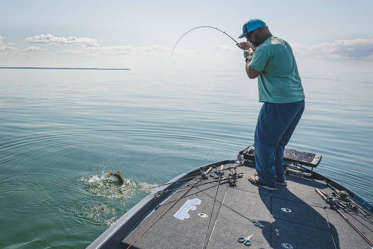 CRANKBAITS: THE G. LOOMIS ADVANTAGE – G. Loomis US