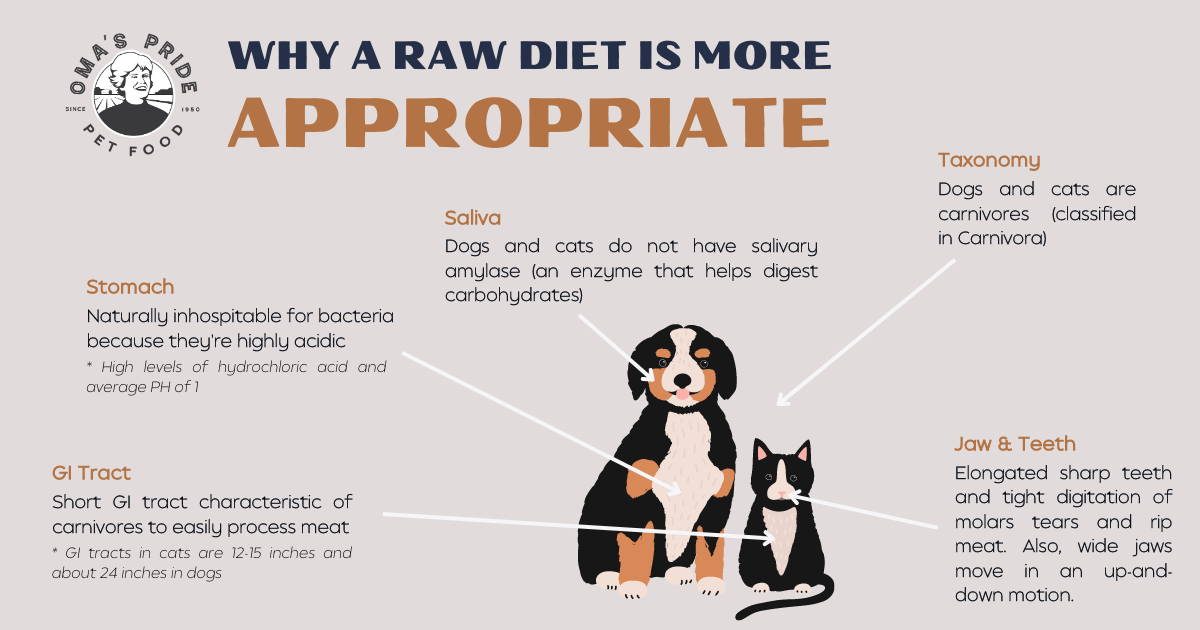 Graphic with cat and dog explaining 5 reasons why a raw diet is biologically appropriate