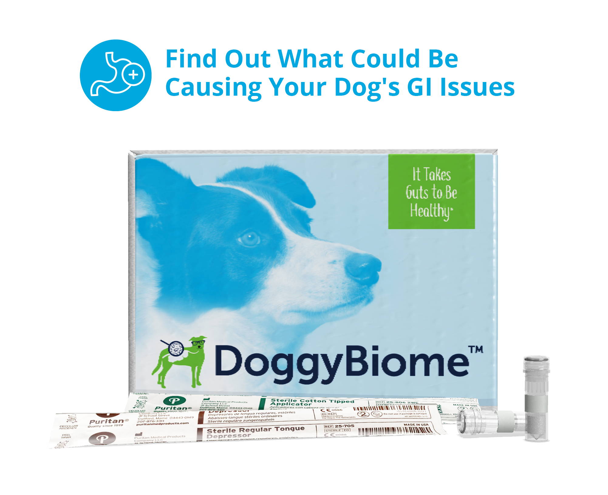 DoggyBiome Gut Health Test for Dogs