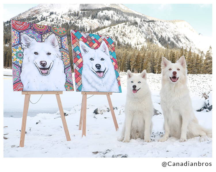 canadian bros next to canvas