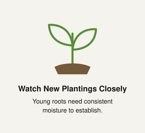 Watch new plantings closely; young roots need consistent moisture to establish.