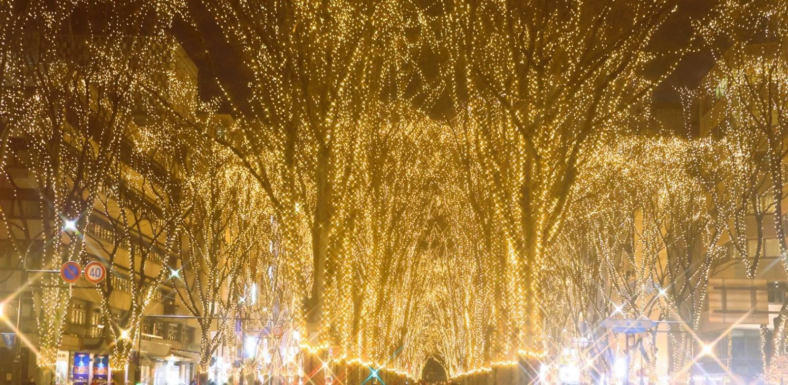 クリスマスのお出かけスポットおすすめ－【宮城県】SENDAI光のページェント：47万球のイルミネーションは圧巻！
