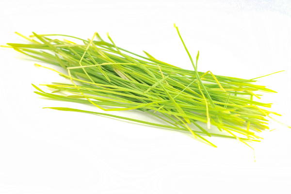 Barley Grass benefits