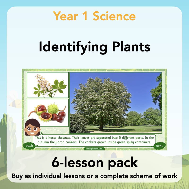 Year 1 Curriculum - Identifying Plants