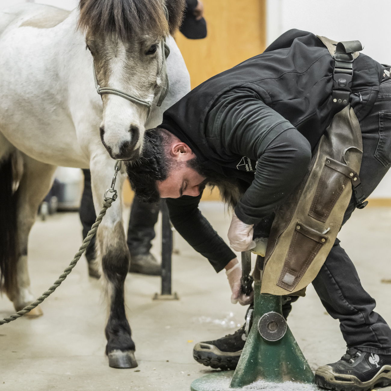 Farrier giving a barefoot trim on a horse's hoof in a stable setting.