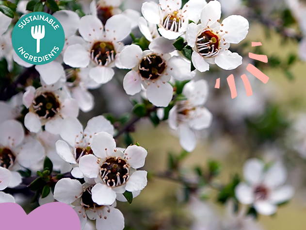 Manuka Flowers- Babo Botanicals