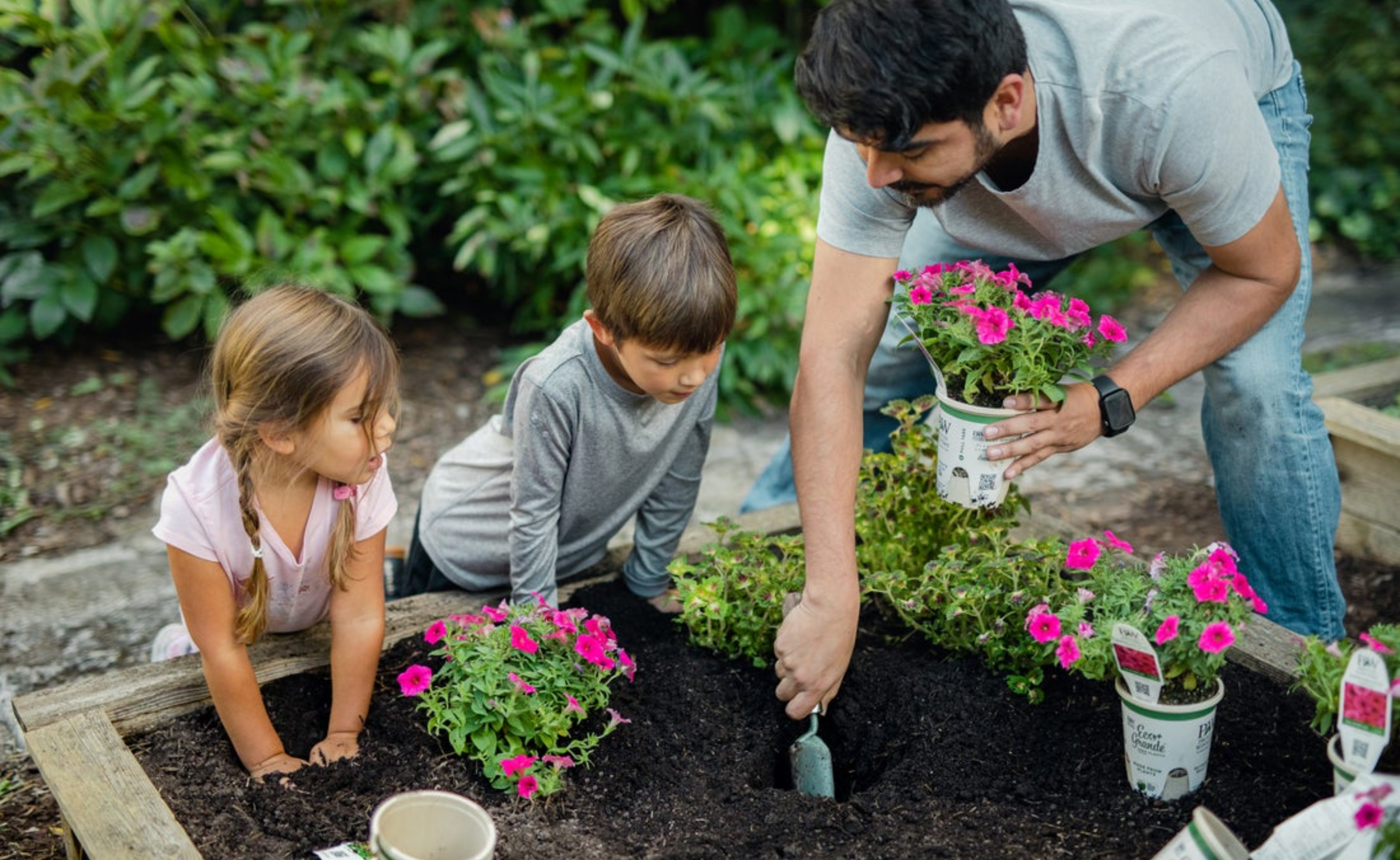Father, son, and daughter planting eco+ grande annuals in a gardening bed