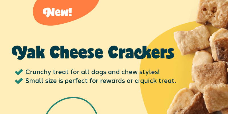 Photo of Yak Cheese Crackers against a colorful background. Text: New! Yak Cheese Crackers. Crunchy treat for all dogs and chew styles! Small size is perfect for rewards or a quick treat.