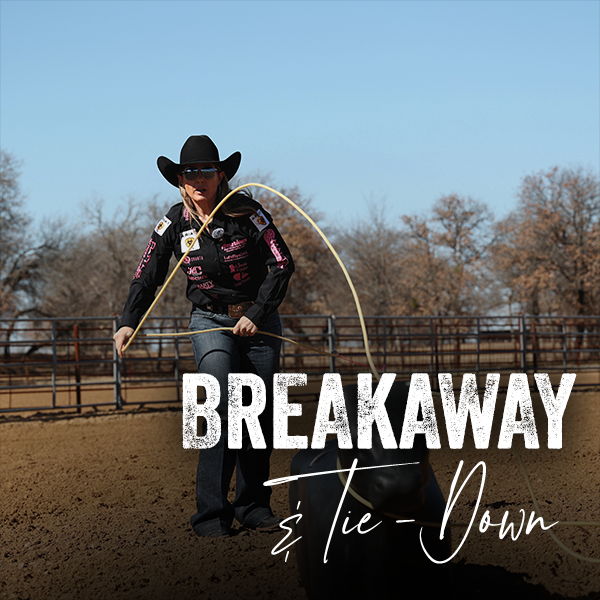 Cowboy roping in an outdoor arena with 
