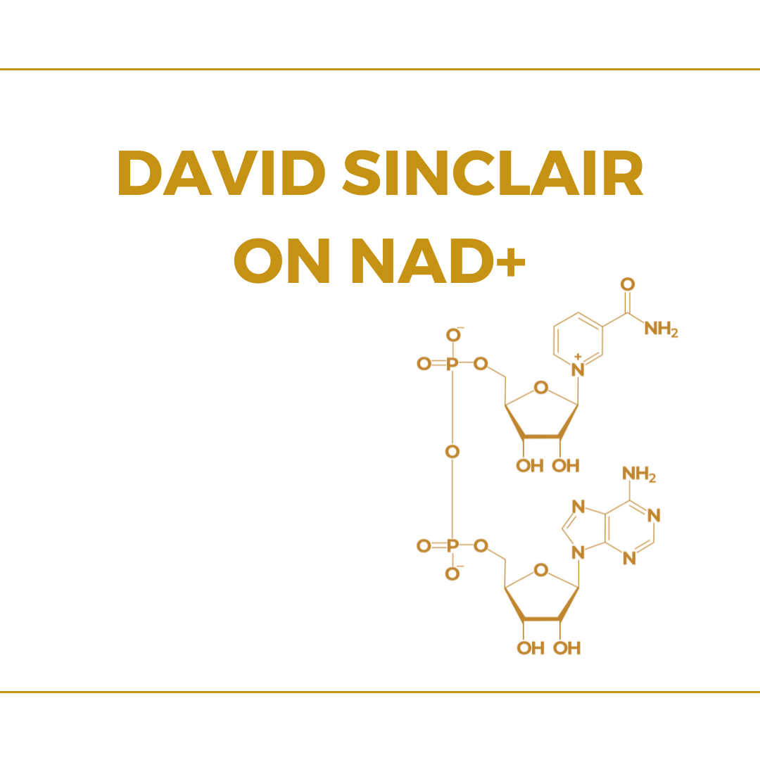 David Sinclair on NAD+