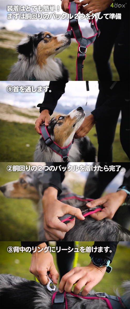 4dox コンフォートプラスハーネス 装着方法