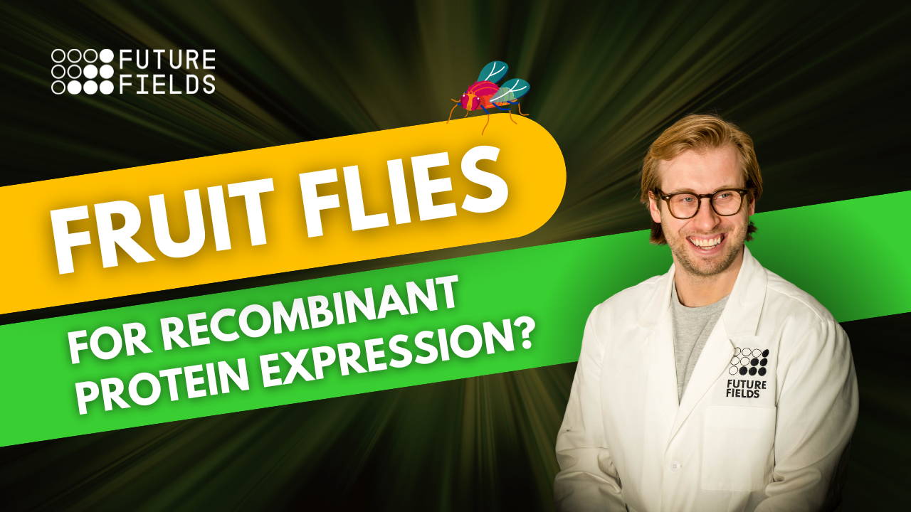 Matt Anderson-Baron, PhD speaks on a webinar about using fruit flies for recombinant protein expression