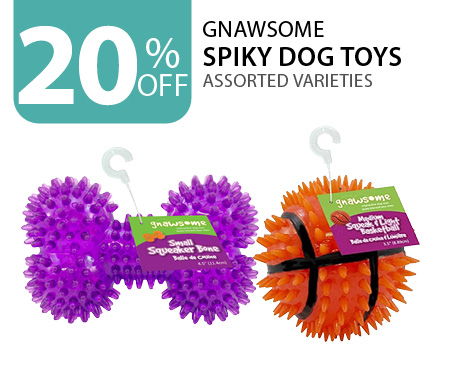 20% off Gnawsome Spiky Dog Toys