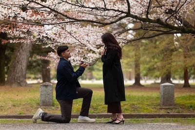 engagement proposal in kyoto, cherry blossoms in background